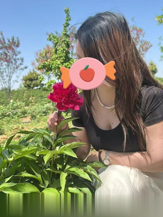 包河气质御姐姐