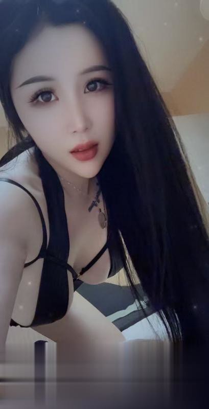 龙岗布吉小狐狸